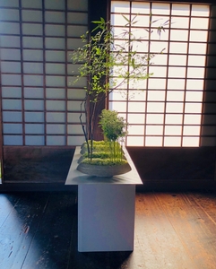 Uyk85xCdHXGq9LvLJ0M8.jpg?w=940&h=940