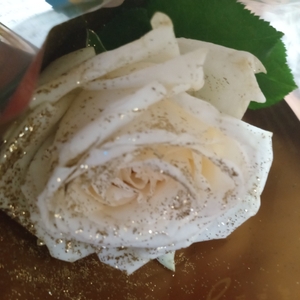 V0SmsUcAvKAlBIpwinwC.jpg?w=940&h=940