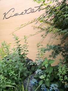 V0z3jlCGFSvs9TlGIcor.jpg?w=940&h=940