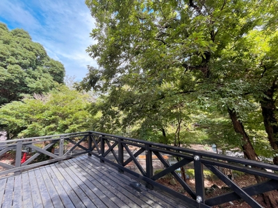 V1cL2WjszEitGXFly8IC.jpeg?w=940&h=940