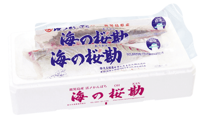 V1lv4ax44wxLC9ztz3rs.png?w=940&h=940