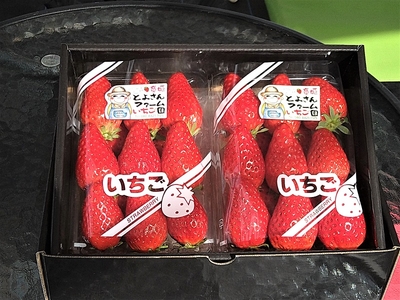 V2m2ilfkCzI6j4aGn2z7.jpg?w=940&h=940