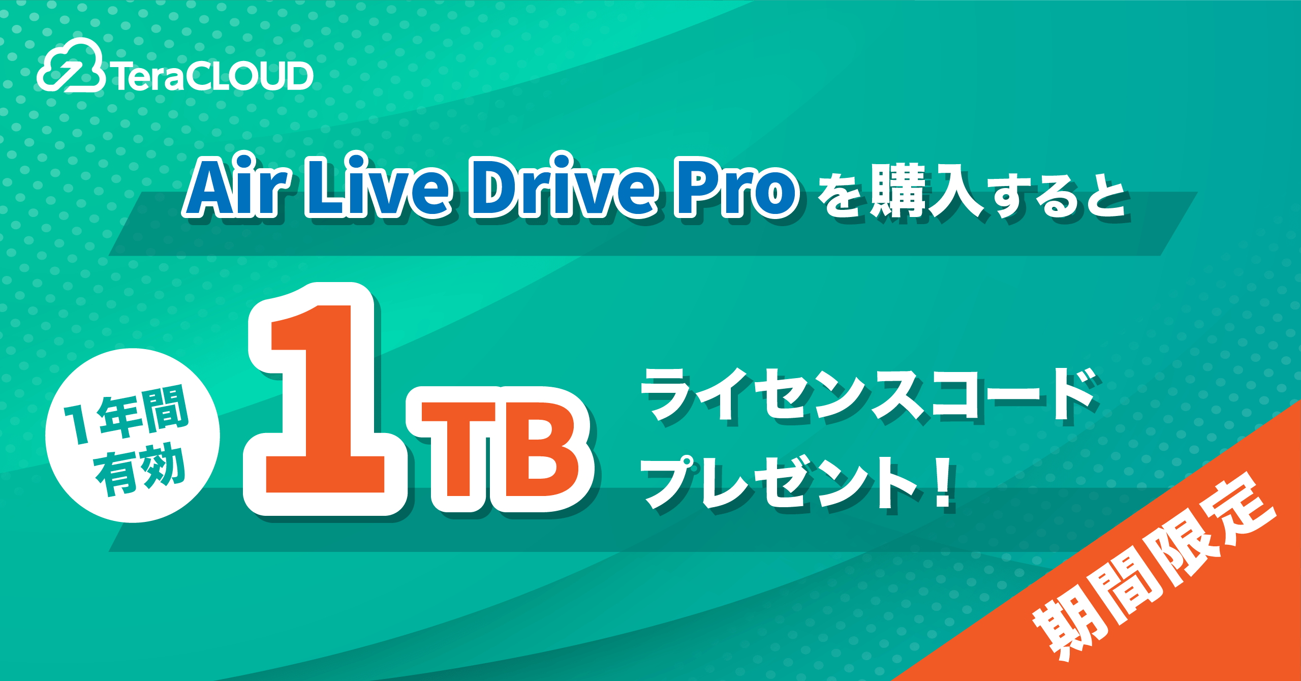 「Air Live Drive Pro」購入で、【1TB】のオンラインストレージがもらえるのは今だけ🎁✨