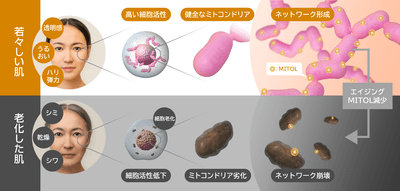 V3QL5lAhwnjEaPo4FY3k.png?w=940&h=940