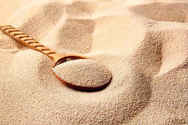 日本の酵母市場は、食品、飲料、ベーカリー用途の需要増加により、2033年までに10億3,620万米ドルに達すると予測されています。