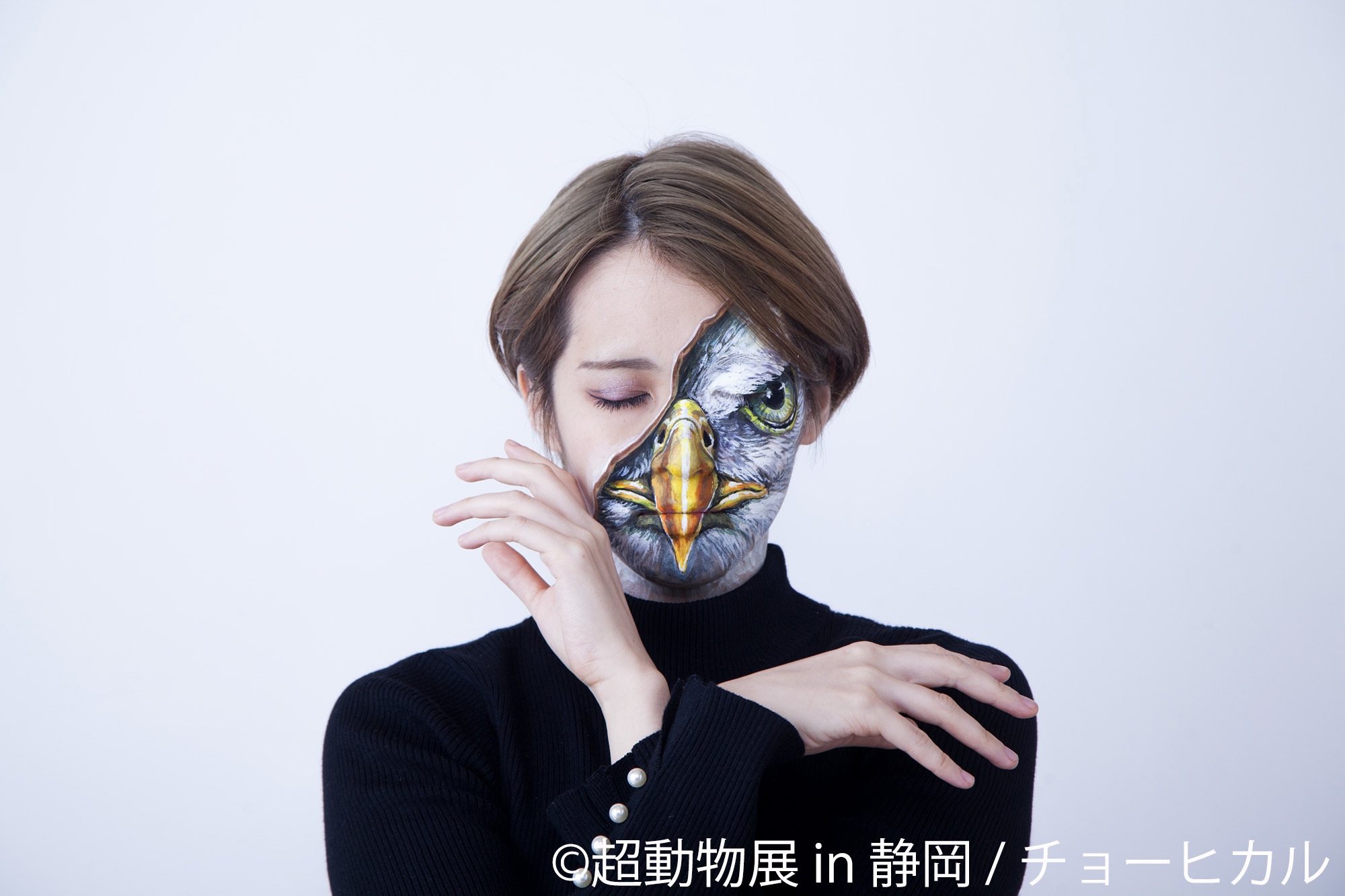 チョーヒカルグッズ チョーヒカル個展「超動物展SP」 | 台東区浅草橋のギャラリー「TODAYS