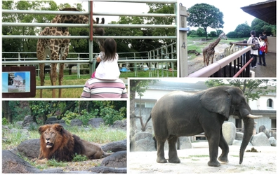 ジブラルタ生命、「ドリームナイト・アット・ザ・ズー」 開催動物園・水族館をサポート