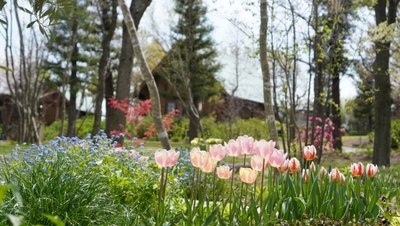 V4MrHUBtJASVFAC5XbzX.jpg?w=940&h=940