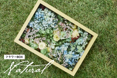 YOUKAEN×ウエコレ　フラワーBOX　Natural