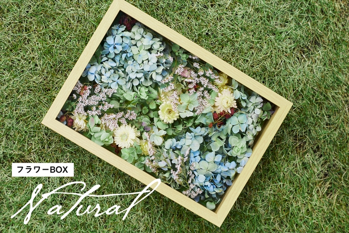 YOUKAEN×ウエコレ フラワーBOX Natural