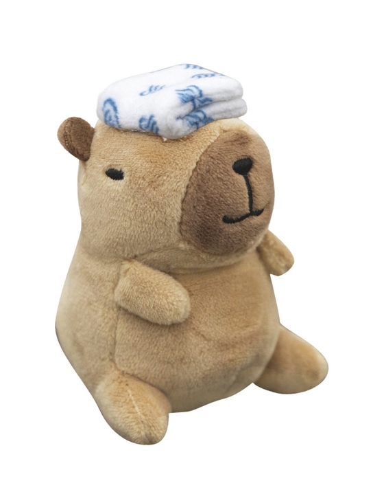 B てぬぐいさん