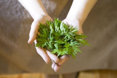 V56llZPxFc31i9iNs7ND.jpg?w=940&h=940