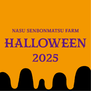 V5LvTM3w29h4lfTKeoFX.png?w=940&h=940