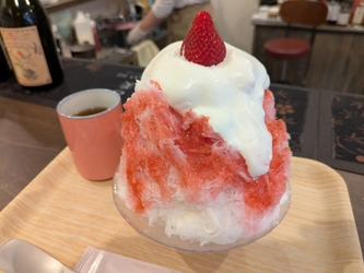 本駒込【かき氷マニアの店主が作る、こだわりかき氷店が誕生！】「うちの氷」オープン