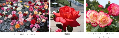 有馬温泉 太閤の湯×須磨離宮公園 コラボ企画 約1,000輪の「バラ風呂」で優雅なひとときを 11月15日（土）限定