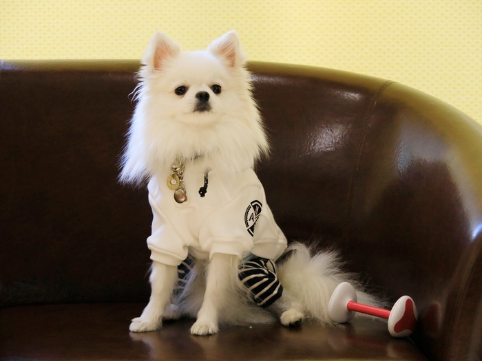 家具は丈夫な素材を使用 ※イメージ