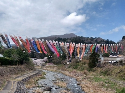 V7pNpMSOnQhsQ118aQde.jpeg?w=940&h=940