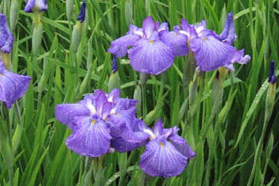 V96iNUQpXh9c8wUm3kJm.JPG?w=940&h=940