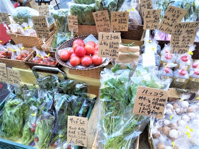 V9UJl8eSgCpOOwK9ECgM.jpg?w=940&h=940