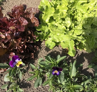 V9uMuHGYRZBvFBw0Eimd.jpg?w=940&h=940