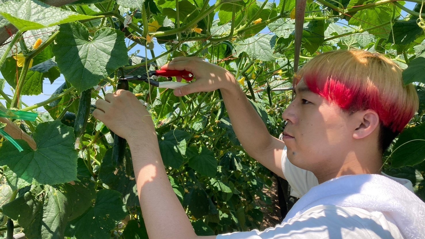 FANTASTICS畑 全員集合!福島夏野菜スペシャル 場面写真(8)