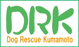 ドッグレスキュー熊本