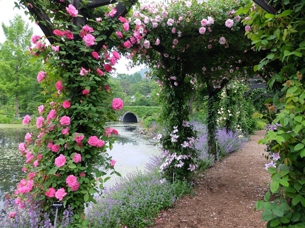 フレンチローズガーデン