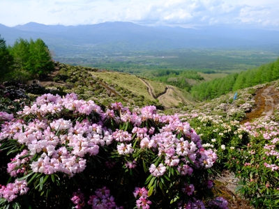 VCQeNypuRCqUQ4aLK6qM.jpg?w=940&h=940