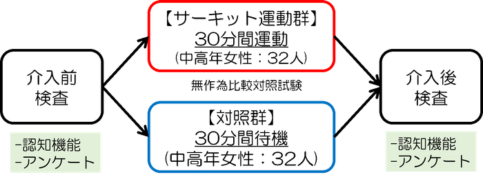 図1 研究の方法の概要(東北大提供)