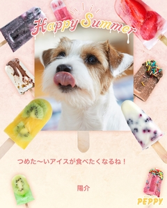 VEQIUyqWWxglGF5e5Jwf.jpg?w=940&h=940