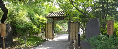 VESzdSQ4ZpQkm4E0peyy.jpg?w=940&h=940