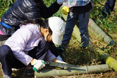 VEcVFF5d4OPTmfjf9C9i.JPG?w=940&h=940