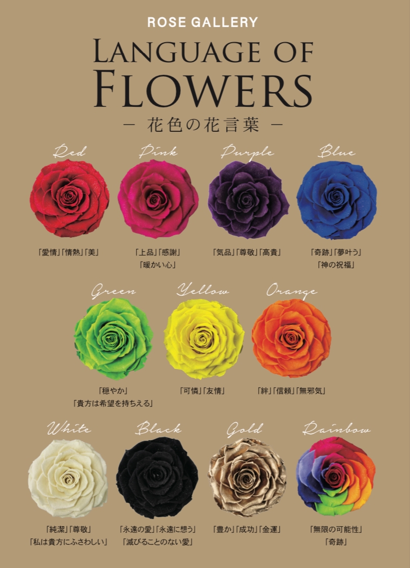 薔薇の色言葉に合わせて贈られてはいかがでしょうか