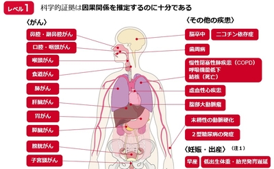 VFNmqriC11bgDvNqhxJl.jpg?w=940&h=940