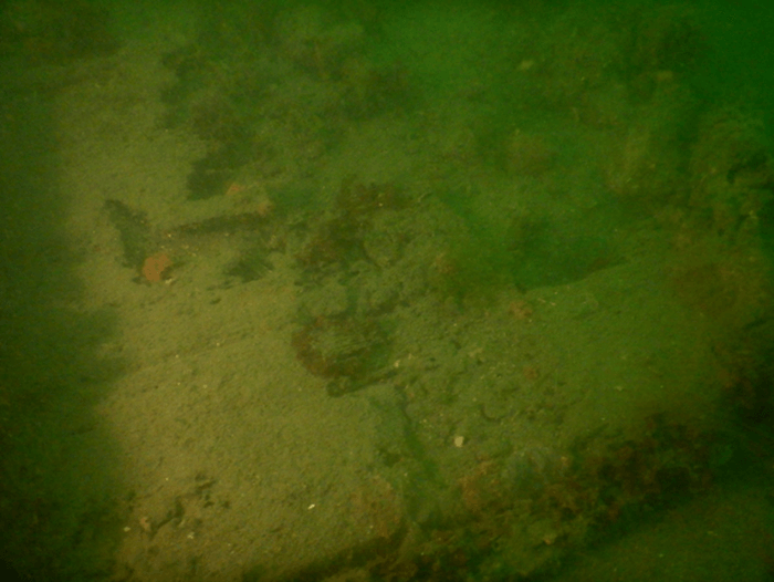 図5. 近世のものと考えられる沈没船の船体 (2024年5月31日、山本俊政 准教授 撮影)