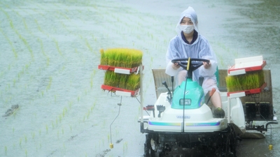 VGwsfBjfQomqlmNcKmUY.jpg?w=940&h=940