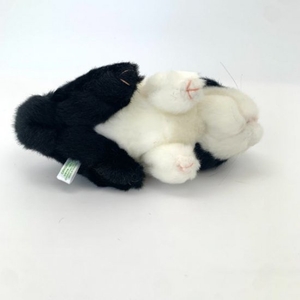 VHBhXzysUB0R0U089AKU.jpg?w=940&h=940