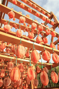 VHtOG0BGYxZF5mVpyv4P.png?w=940&h=940