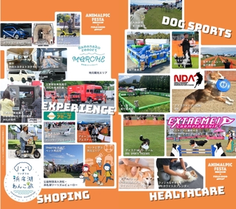 多種多彩な会場内コンテンツ　