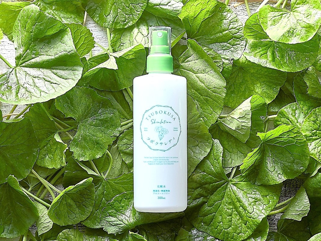 ツボクサレディ バランシング リペアローション