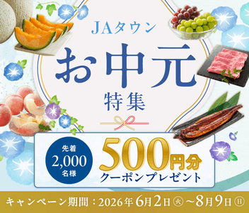 お中元特集