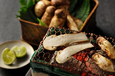 VJ5sBJGw50xNRXjaKvFB.jpg?w=940&h=940