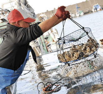 VJAUonfVb2ZGoKV8wG1X.png?w=940&h=940