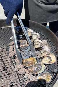 VJas4LuHFWiCJwUjrs3I.jpg?w=940&h=940