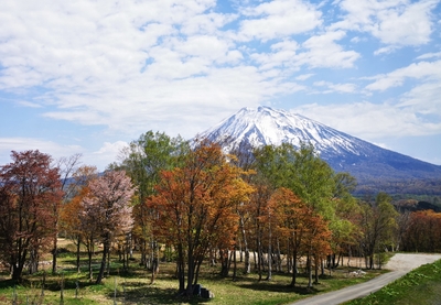 VKYjuJXoiOr4nrNeQ0Hs.jpg?w=940&h=940