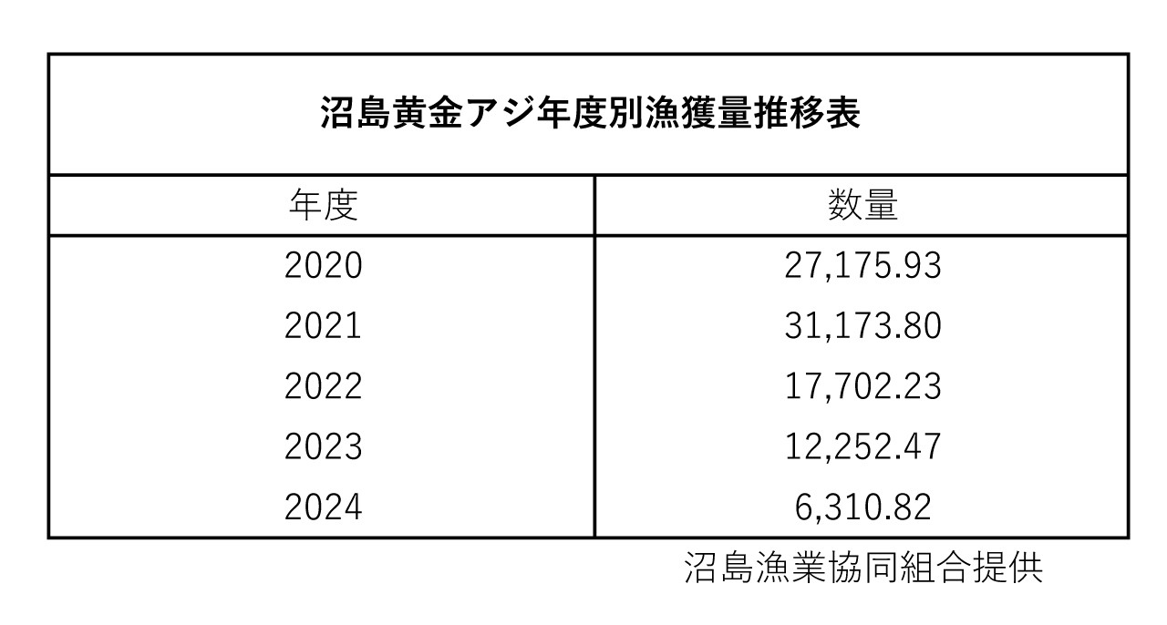 沼島黄金アジの漁獲量は年々減少しており、希少価値が高くなっている