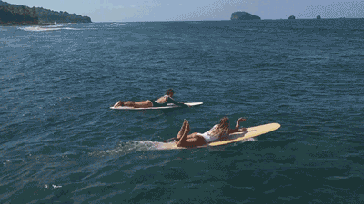 VLjA6WwSIHh7neVckzqT.gif?w=940&h=940