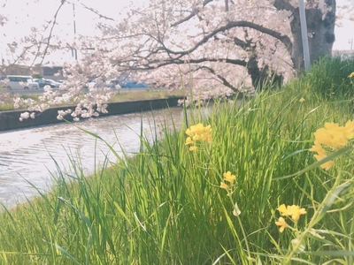 VLrPf9uA6v2pdVdxf9QA.jpg?w=940&h=940