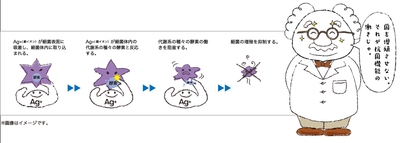 VLx8DZ5XXDB0vWjijHiv.jpg?w=940&h=940