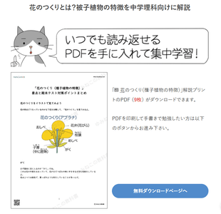 印刷して使えるPDF教材も無料で提供